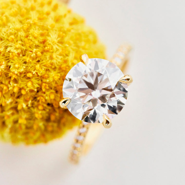 Aurora Moissanite Engagement Ring - Identity Diamonds