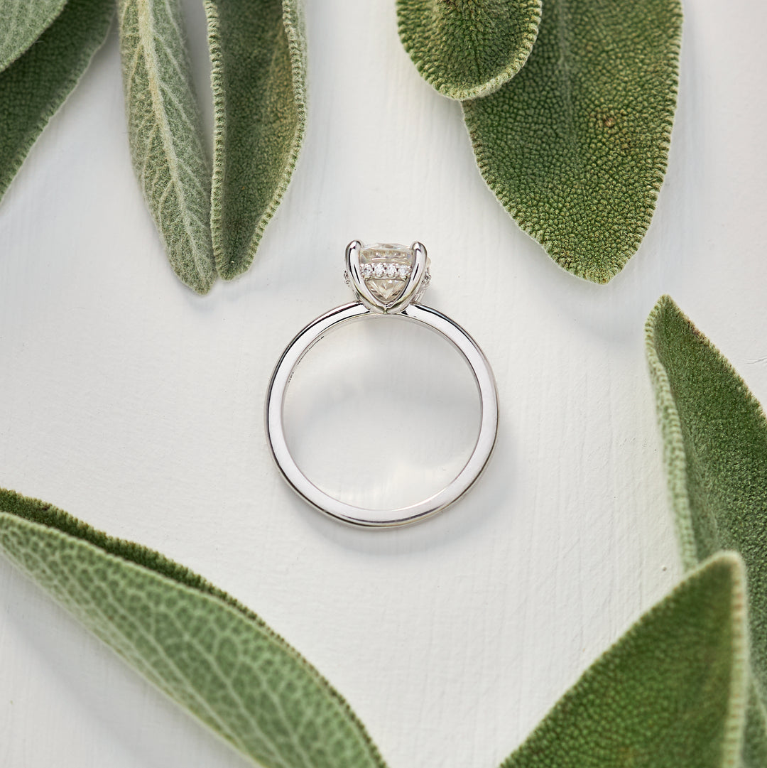 Celeste Moissanite Engagement Ring - Identity Diamonds