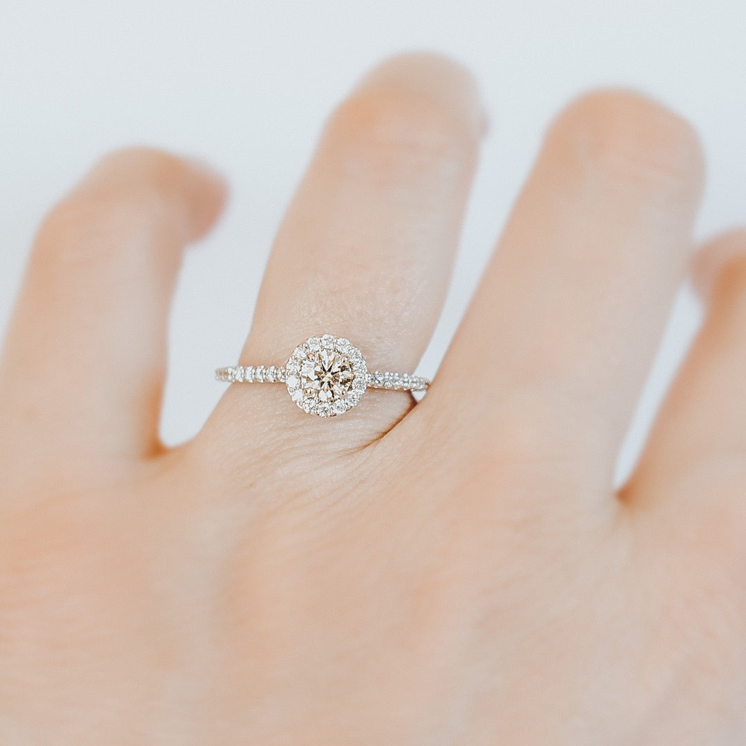 Lisa Moissanite Engagement Ring