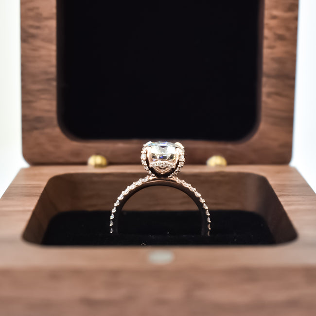 Ariel Moissanite Engagement Ring
